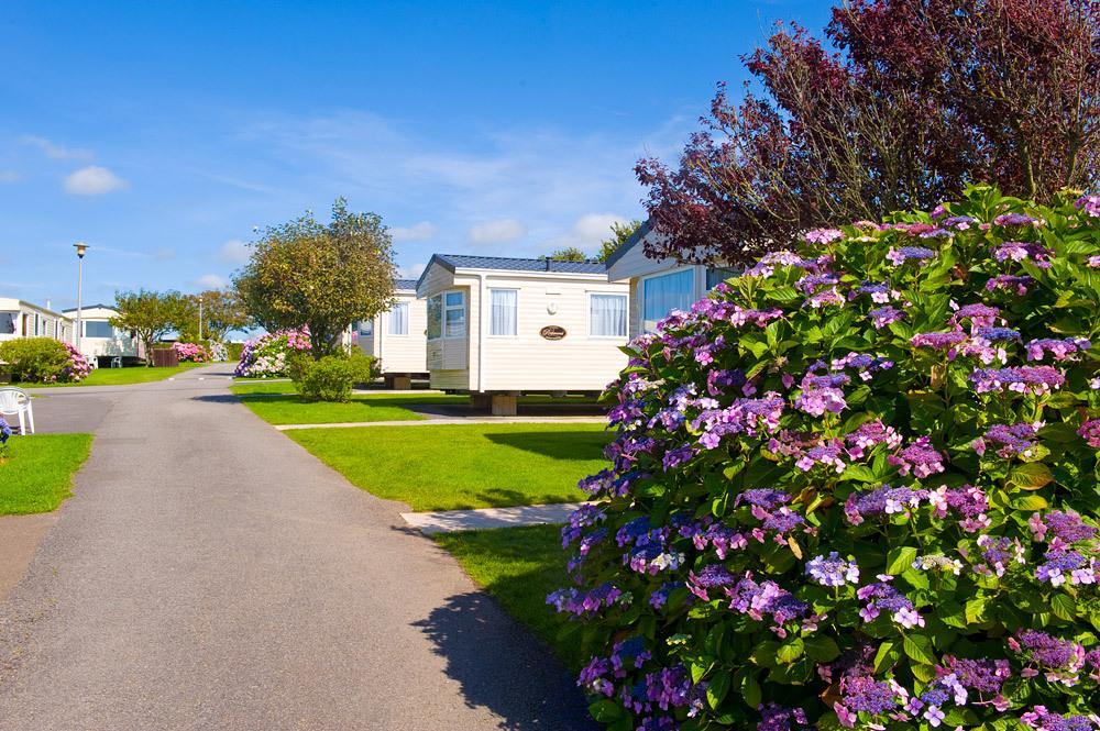 Wooda Farm Holidays Bude Rom bilde
