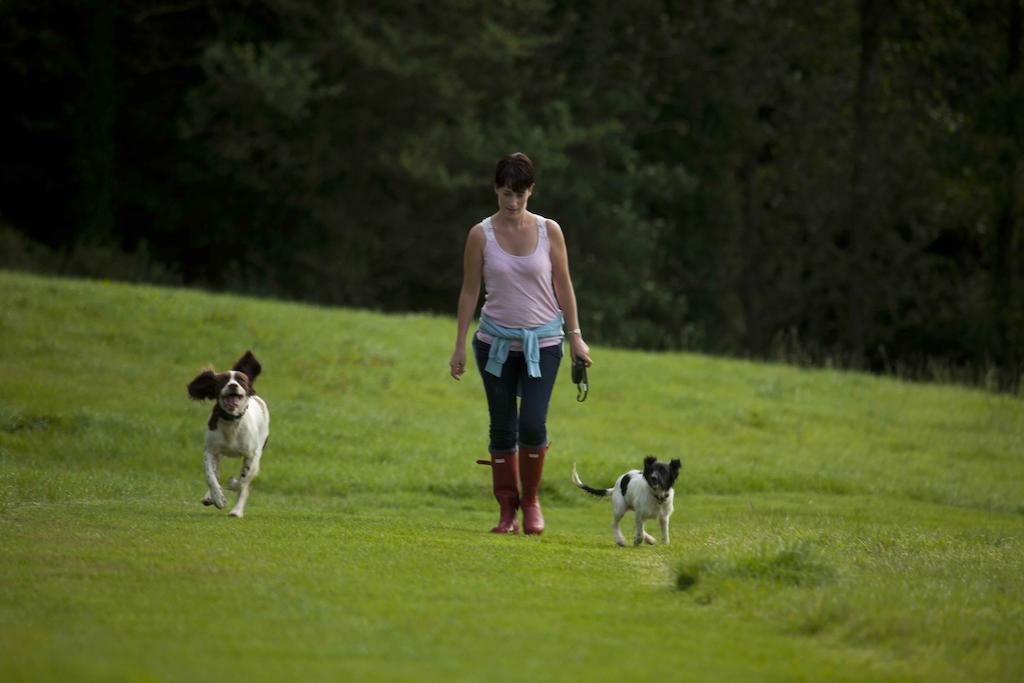 Wooda Farm Holidays Bude Eksteriør bilde