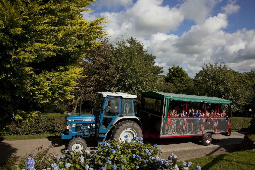 Wooda Farm Holidays Bude Eksteriør bilde