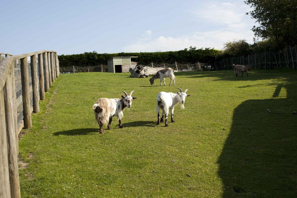 Wooda Farm Holidays Bude Eksteriør bilde